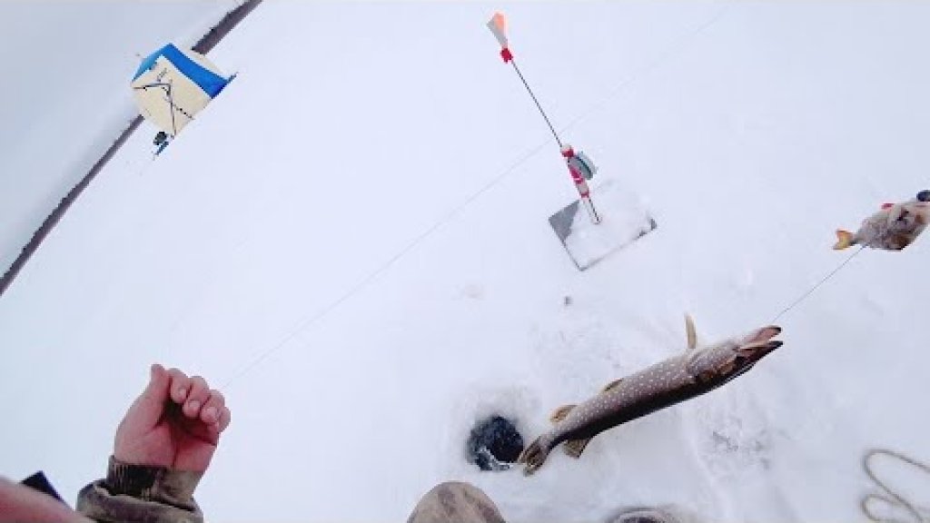 Первый лед 2021-22 / рыбалка с ночевкой в палатке с печкой / winter fishing