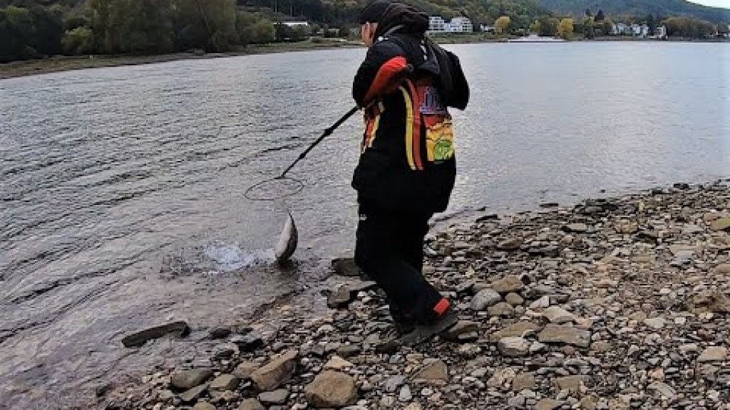 С друзьями на рыбалке. Потеряли удочку за 400 евро. Слили трофейную рыбу. Жерех #7