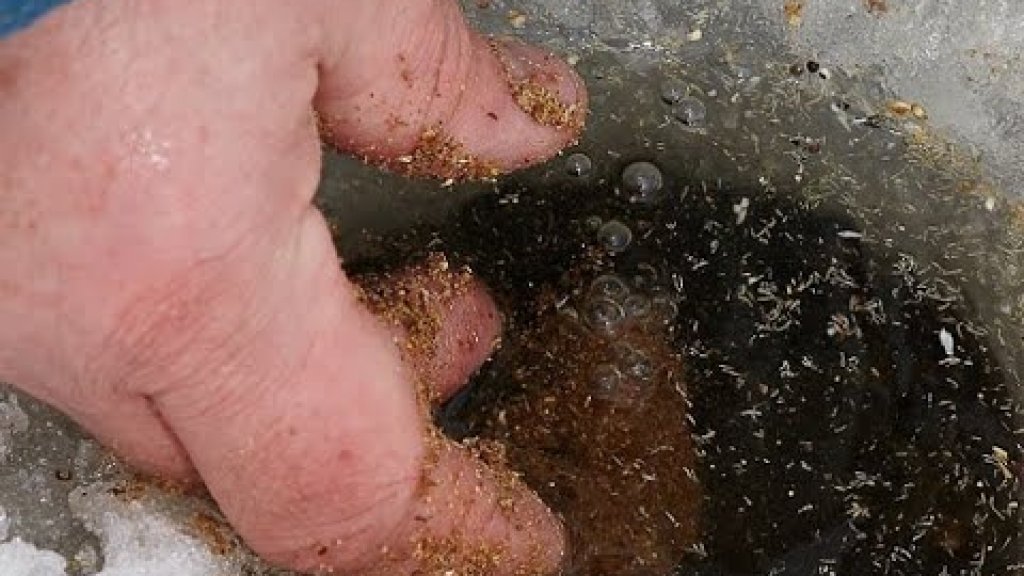 Жаркая прикормка для холодной воды. ??? Жаркая прикормка для холодной воды. ???