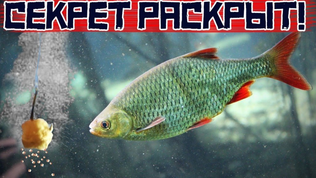 Пылящая манка для зимней рыбалки. Рабочий рецепт! Лайфхак! Пылящая манка для зимней рыбалки. Рабочий рецепт! Лайфхак!
