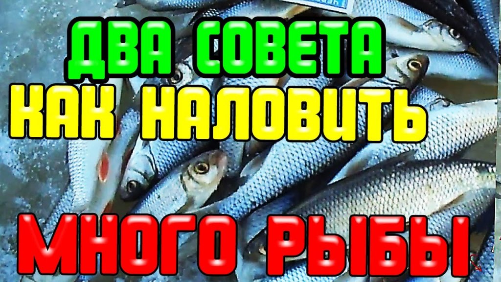 Рыбалка Новые Видео 2022 Года Бесплатно