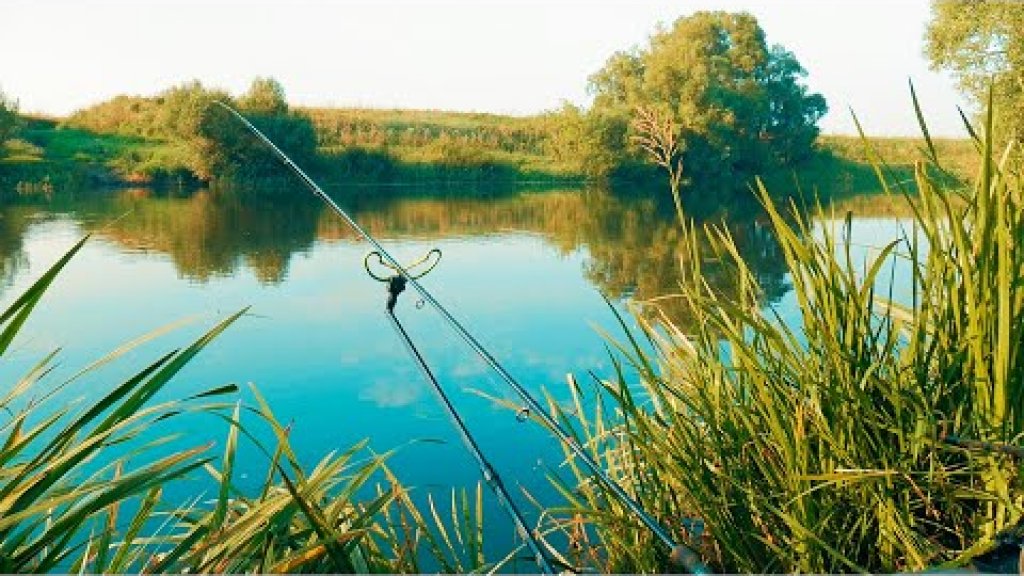 Рыбалка  на фидер в верховьях Дона в жаркое июльское утро