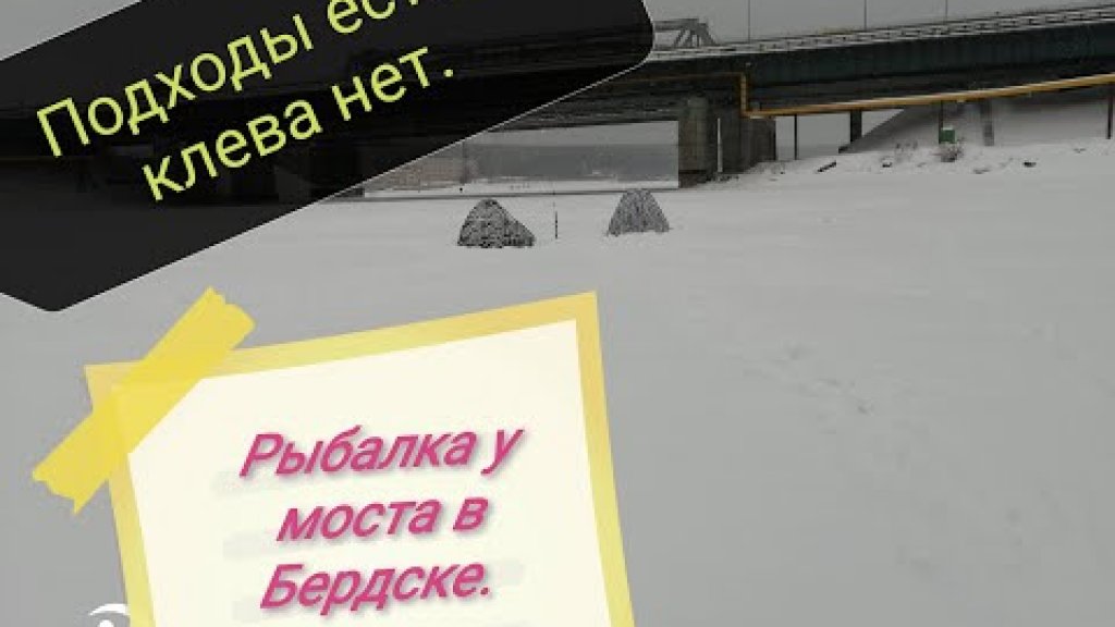 Рыбалка у моста в Бердск. Подходы судака и окуня на подводную камеру.