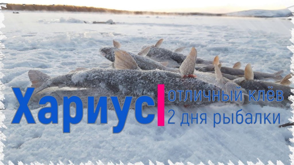 Рыбалка Якутия Зимой Новые Видео 2022 Год