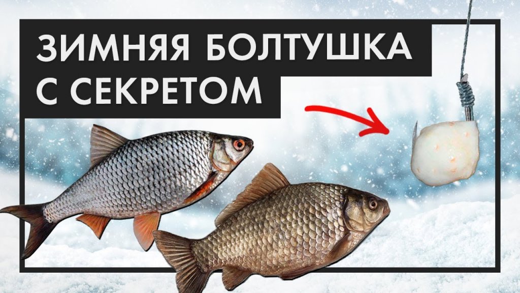 Рабочая ЗИМНЯЯ БОЛТУШКА с секретом. Как правильно сделать болтушку из манки Рабочая ЗИМНЯЯ БОЛТУШКА с секретом. Как правильно сделать болтушку из манки