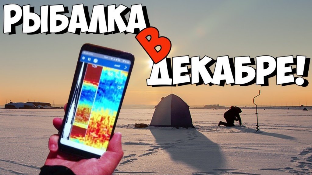 Опустили эхолот а там... Рыбы - тьма! Опустили эхолот а там... Рыбы - тьма!