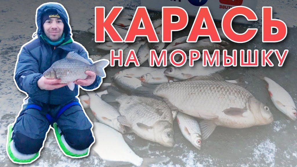 Ловля КАРАСЯ зимой со льда на мормышку 2021/ Зимняя рыбалка в Беларуси