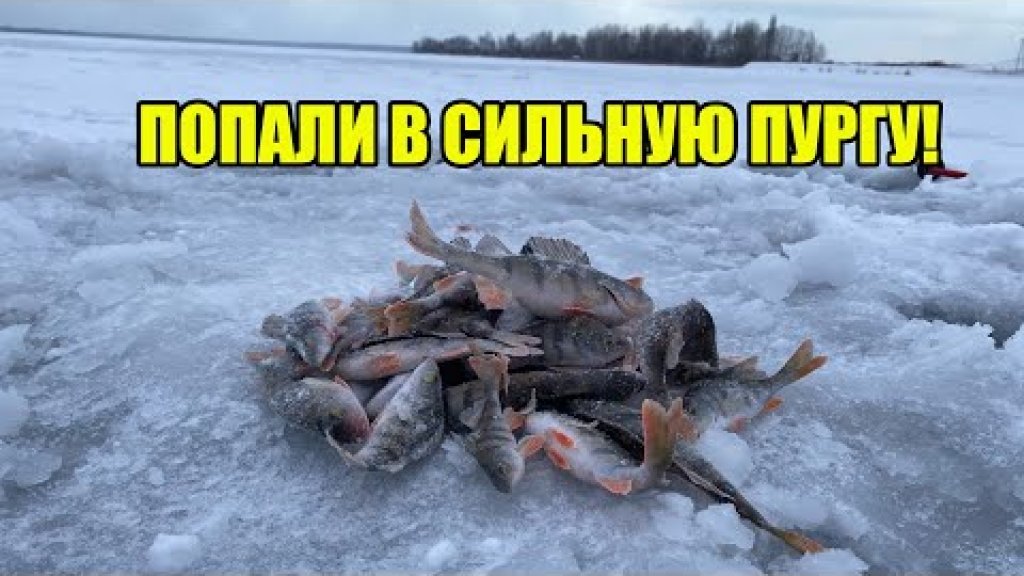 Поймал 40 окуней с одной лунки! Невероятная раздача! Поймал 40 окуней с одной лунки! Невероятная раздача!