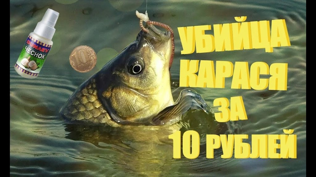 Супер ароматизатор своими руками за 5 мин.Ароматизатор на карася, карпа и леща. Рецепт ароматизатора Супер ароматизатор своими руками за 5 мин.Ароматизатор на карася, карпа и леща. Рецепт ароматизатора