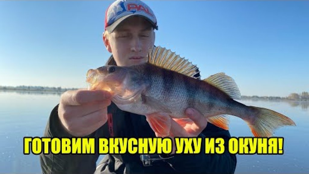 Рецепт вкусного рыбного супа | Уха из окуней Рецепт вкусного рыбного супа | Уха из окуней
