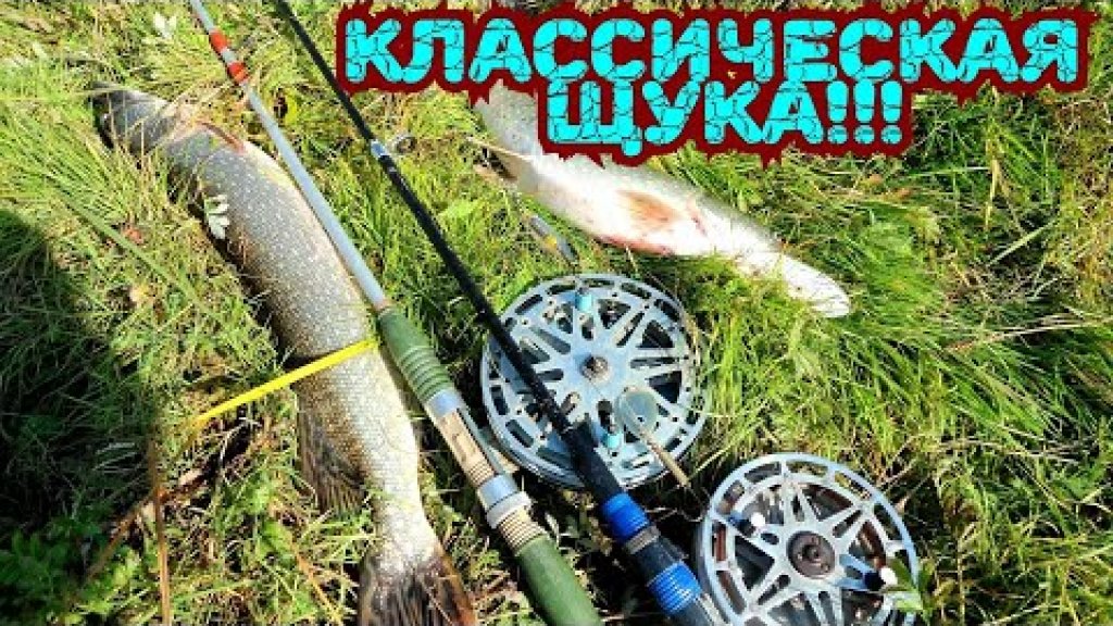 Жарим Щуку!!! Классический рецепт!!! Жарим Щуку!!! Классический рецепт!!!