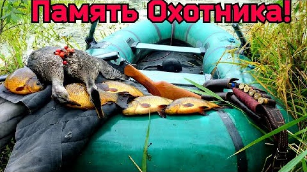 Охотничьи моменты в кадрах! Чтобы помнить.....!!! Охотничьи моменты в кадрах! Чтобы помнить.....!!!