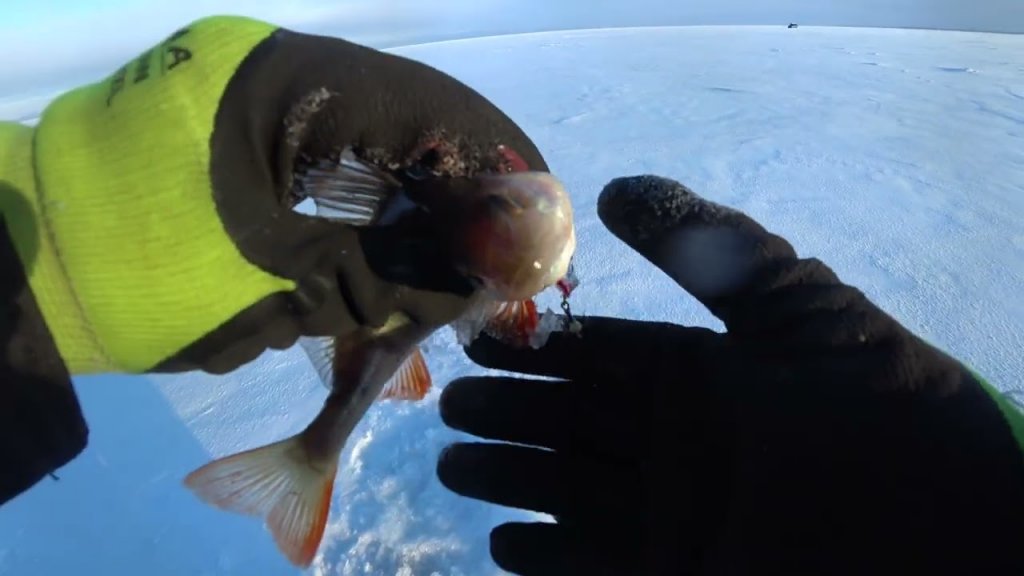 Рыбалка на окуня со льда. Ловля окуня на балансир в поземку. Братское водохранилище залив Судовский.