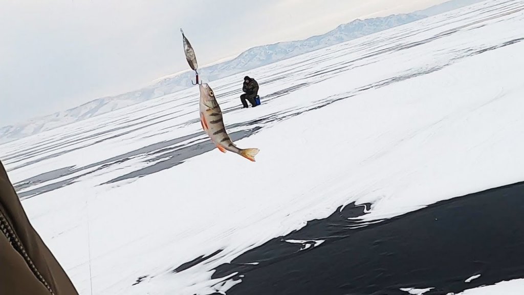 Первая зимняя рыбалка в жизни и не с нолём! Рыбалка зимой