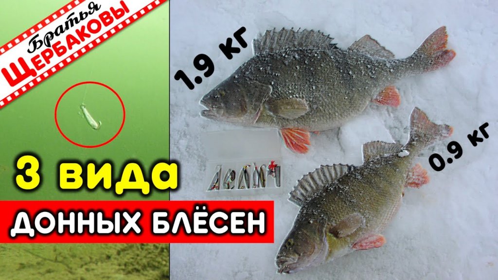 Зимние блёсны. Ловим окуня, налима, судака со дна. Подводные съемки Зимние блёсны. Ловим окуня, налима, судака со дна. Подводные съемки