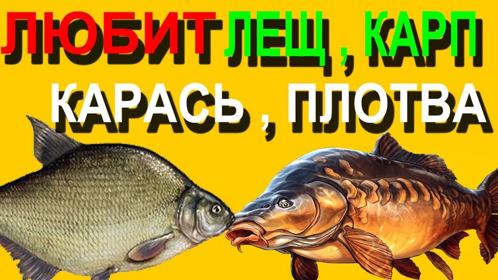 На Такую Отличную насадку для ловли Леща, Карася, Карпа, Плотвы ловит мало рыбаков в России