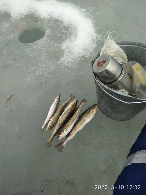 Рыбалка в Приморье.