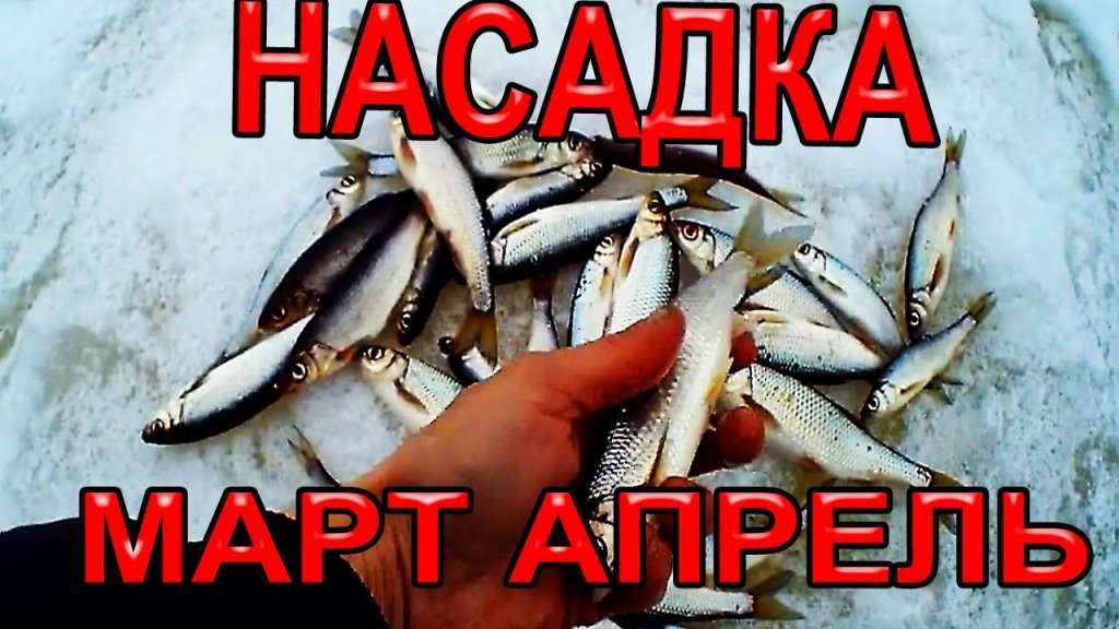 Насадка для Весенней рыбалки на Мормышку, но Только Мало Кто так Ловит  Рыбу Весной на Такую Насадку