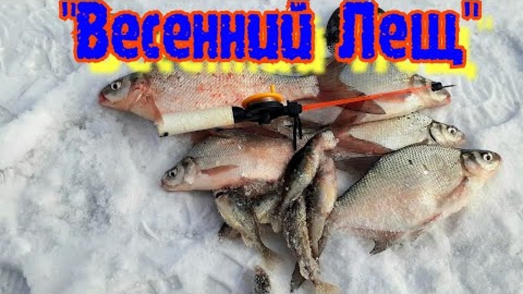 Рыбалка на Леща/Ёрш на уху/Рыбалка в Марте/ Рыбалка на Леща/Ёрш на уху/Рыбалка в Марте/