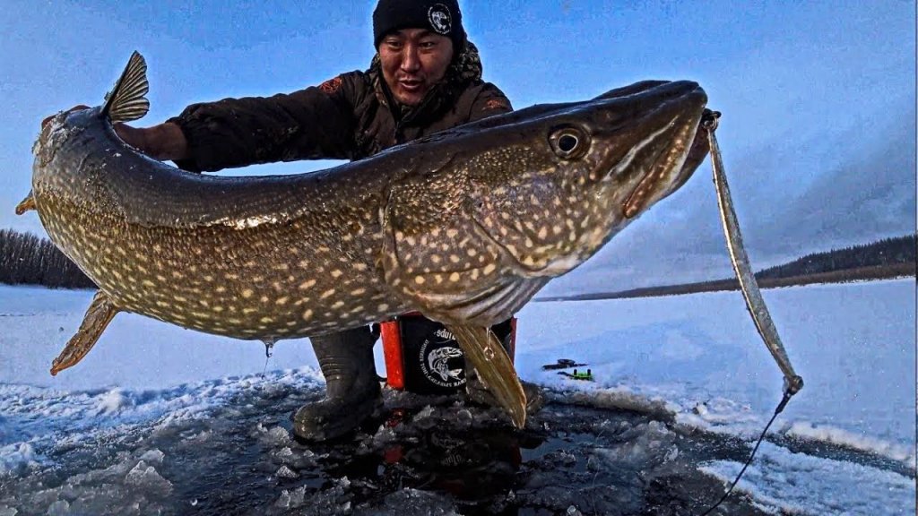 Вот это невероятные уловы на рыбалке БЕШЕНЫЙ КЛЕВ трофейная рыбалка #19