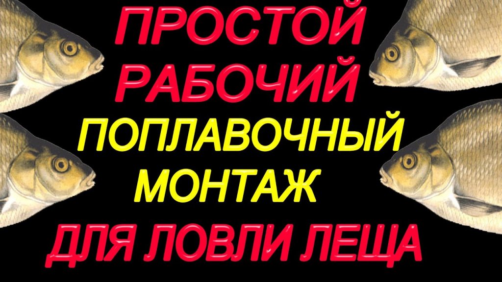 Поплавочный Монтаж для Ловли Леща на Слабом течении,на выходе,входе из ям