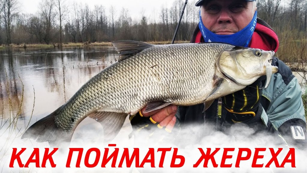 Как поймать жереха на спиннинг / Советы рыболовного гида Юрия Юрченко