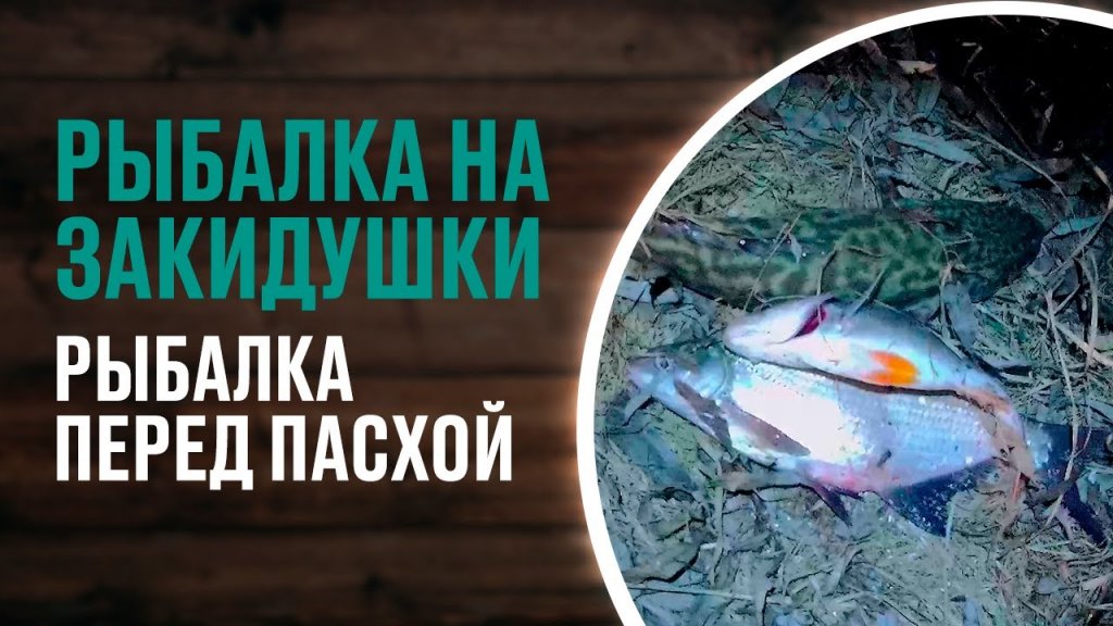 Вечерняя рыбалка на закидушки перед пасхой. Поймал подлещика, окуня и налима. Вечерняя рыбалка на закидушки перед пасхой. Поймал подлещика, окуня и налима.