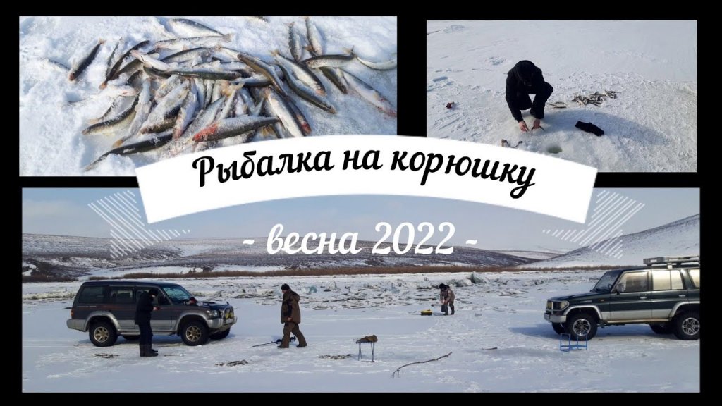 Рыбалка на корюшку. Весна 2022. Зимняя рыбалка. Winter fishing for smelt.