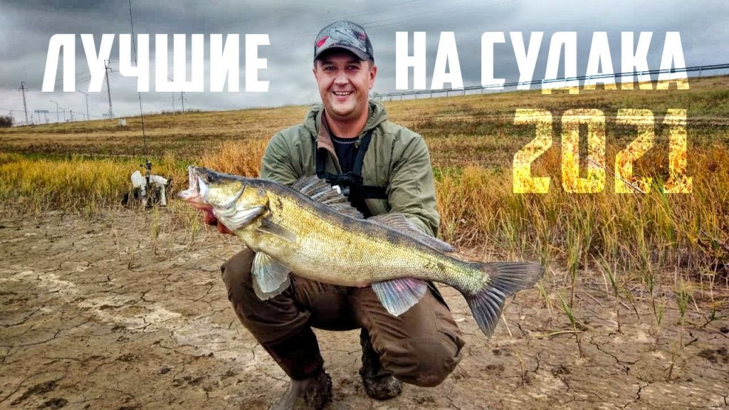 Ловля судака. Лучшие приманки для весны и лета Ловля судака. Лучшие приманки для весны и лета