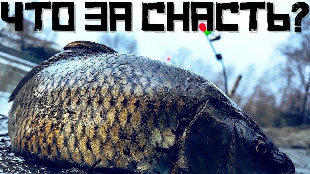 Лайфхак! Как сделать из крокодила фидер? Делюсь секретом! Снасть ловит всё! Лайфхак! Как сделать из крокодила фидер? Делюсь секретом! Снасть ловит всё!