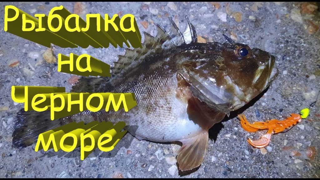 Рыбалка с пирса на Черном море. Удачная ловля ерша скорпены на спиннинг. Рокфишинг в Крыму