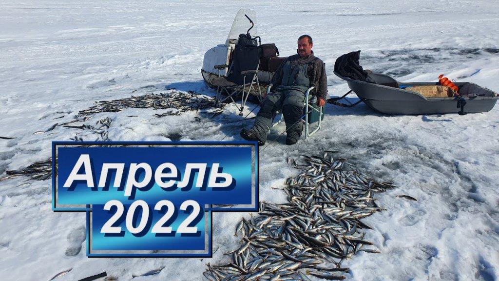 Моя лучшая и неожиданно худшая рыбалка - Николаевск-на-Амуре. Апрель 2022