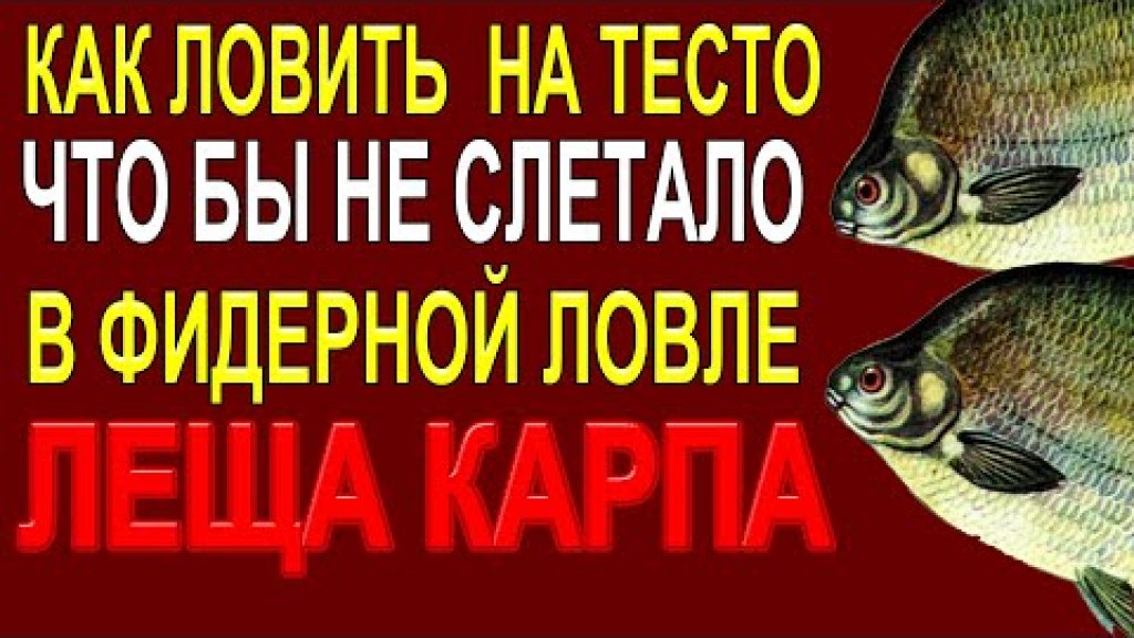 Как ловить леща,карпа на тесто в фидерной ловле, Делаем бойл что бы не слетала с крючка насадка