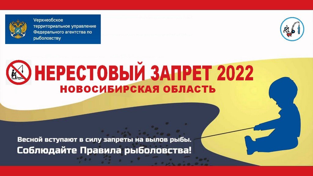 Нерестовый запрет 2022. Когда и где запрещено ловить весной в Новосибирской области