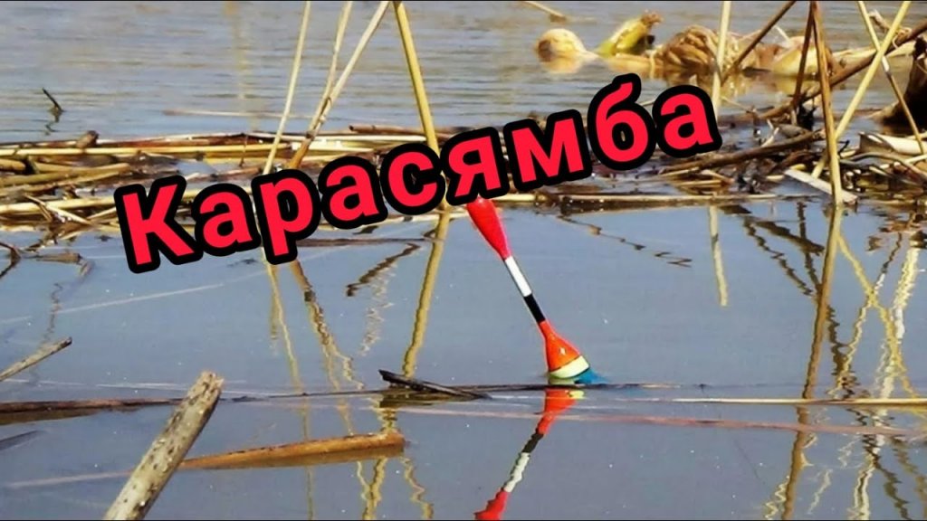 На поплавок. Килограммовые караси весной клюют только на это.убийца карася курит. Работаета насадка