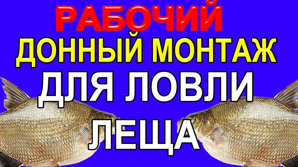 Рабочий Донный Монтаж для Ловли Леща на Фидер,Изготовление и Сборка Снасти своими руками