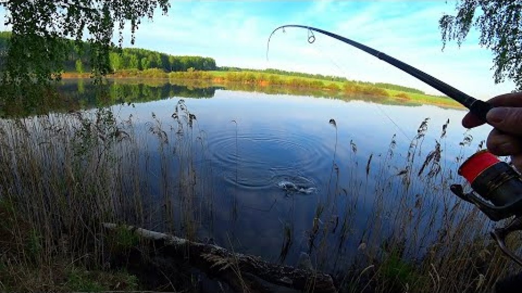 Щука клюёт на каждом забросе | жор щуки весной