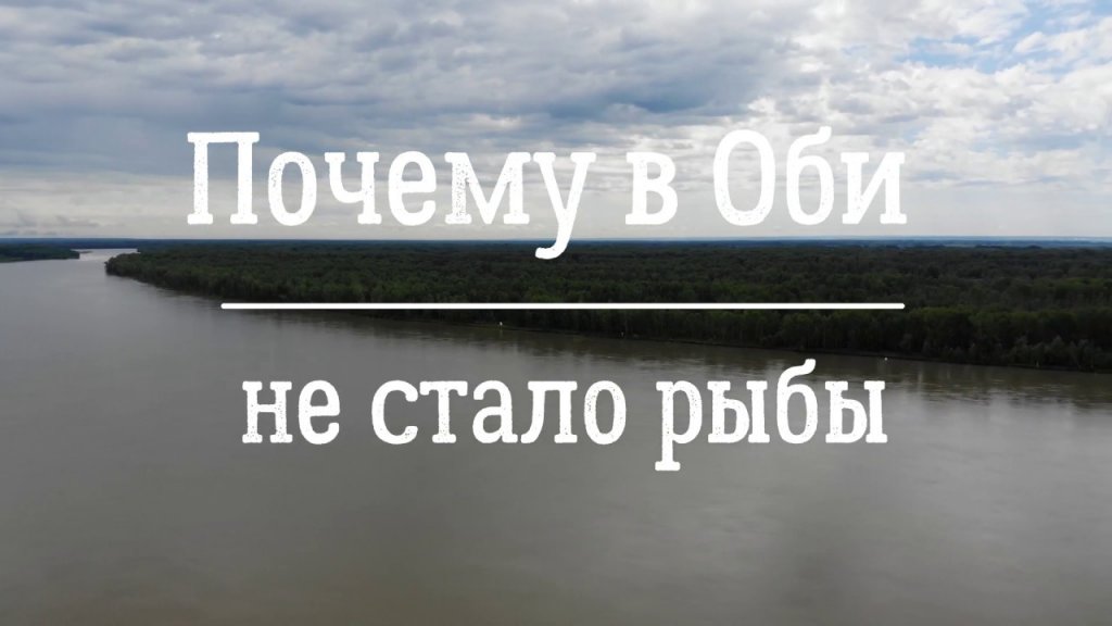 Почему в Оби не стало рыбы. Беспредел чиновников в Сузунском районе