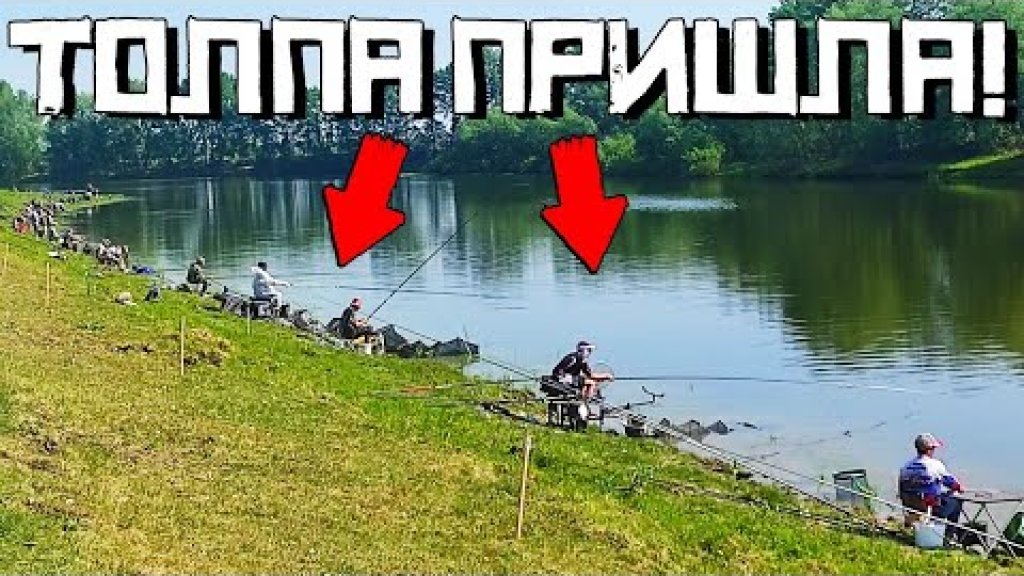 Тут будет... Драка? Толпа рыбаков решила выяснить отношения! Кубок НСО по Поплавку 2022. Тут будет... Драка? Толпа рыбаков решила выяснить отношения! Кубок НСО по Поплавку 2022.
