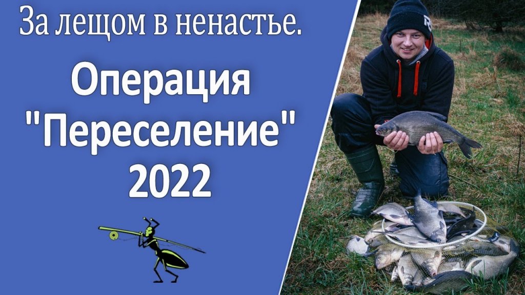 Рыбалка на фидер 2022. Сдаю уловистые точки - 3.  Как поймать леща в ненастье?