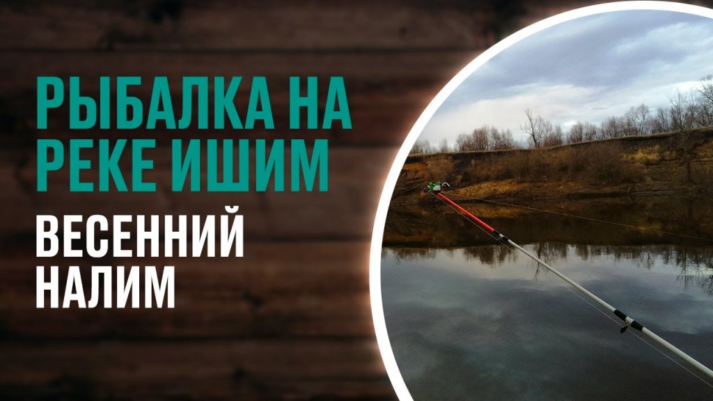 Весенний налим. Ловля налима весной на закидушки. Рыбалка на реке Ишим. Весенний налим. Ловля налима весной на закидушки. Рыбалка на реке Ишим.