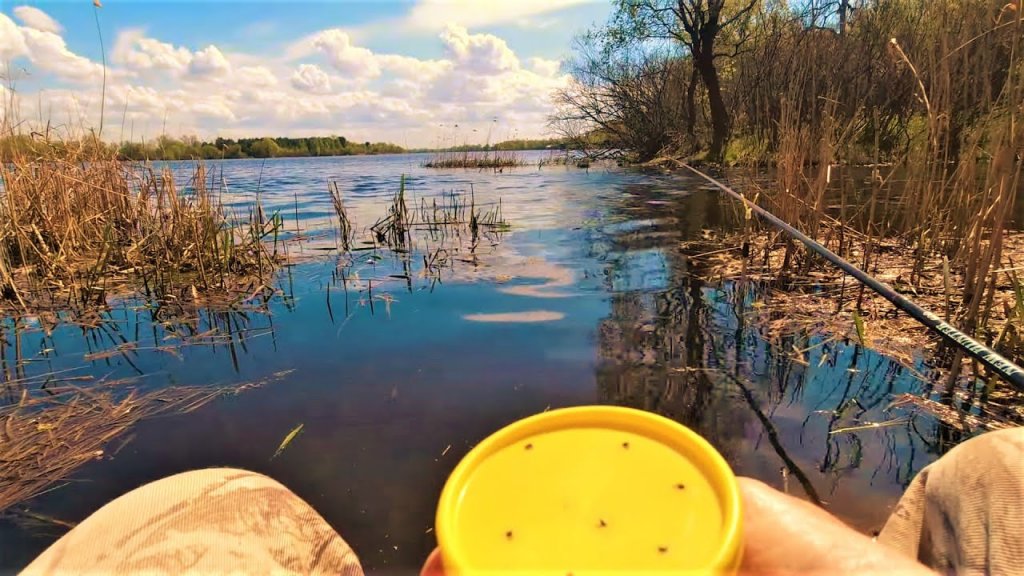 Рыбалка на поплавок. Уловистые места для ловли