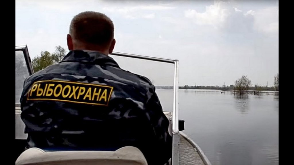 Нервный рыбак против «правильного» инспектора Нервный рыбак против «правильного» инспектора