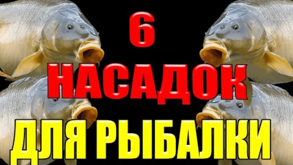 На летней рыбалке вы наловите много рыбы на эти 6 насадок для рыбалки летом На летней рыбалке вы наловите много рыбы на эти 6 насадок для рыбалки летом