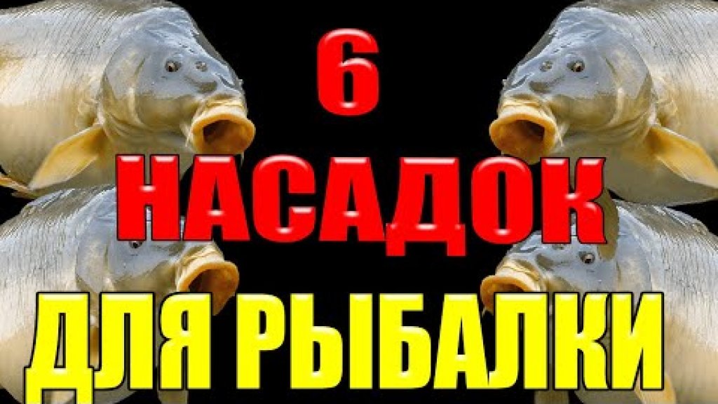 На летней рыбалке вы наловите много рыбы на эти 6 насадок для рыбалки летом