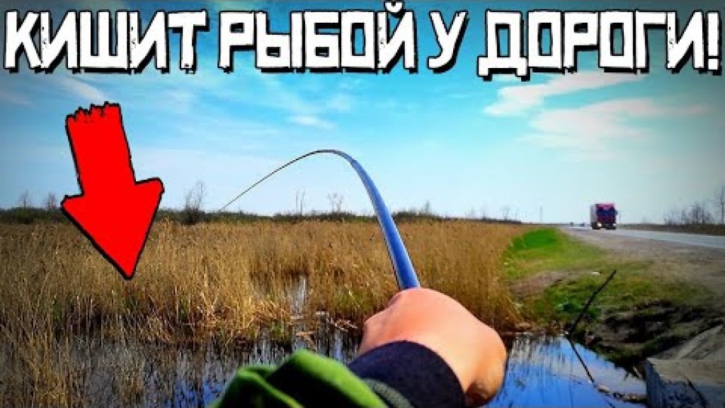 Ручей у трассы кишит рыбой! Карась клюёт как дурной! Рыбалка в НСО Ручей у трассы кишит рыбой! Карась клюёт как дурной! Рыбалка в НСО