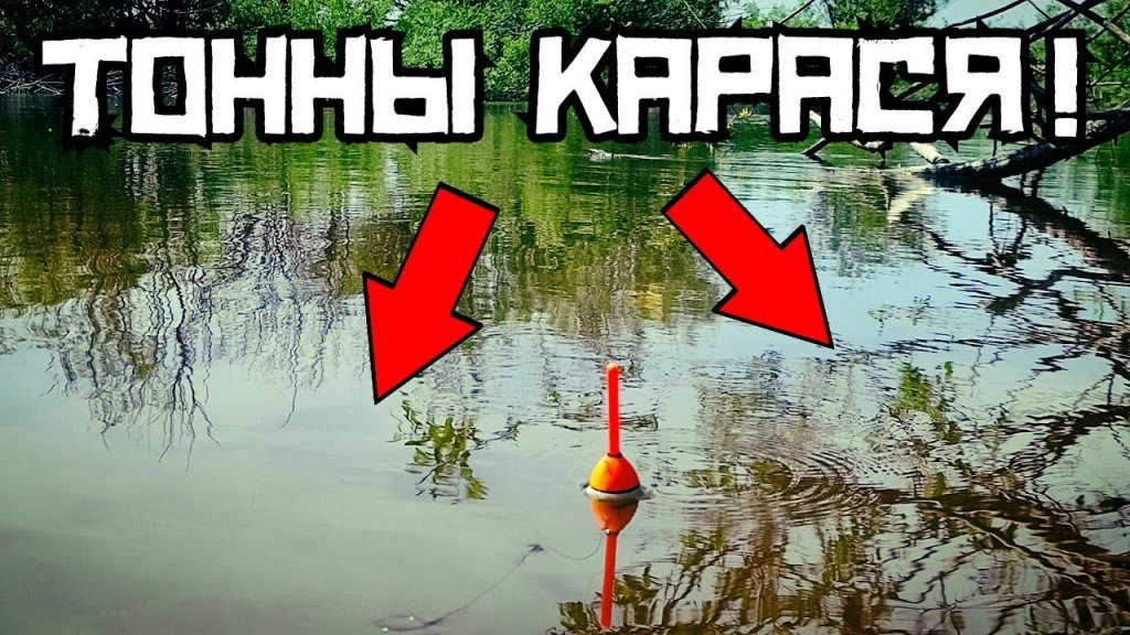 Ловля крупного карася на р. Каргат. Новосибирская Область. Ловля крупного карася на р. Каргат. Новосибирская Область.