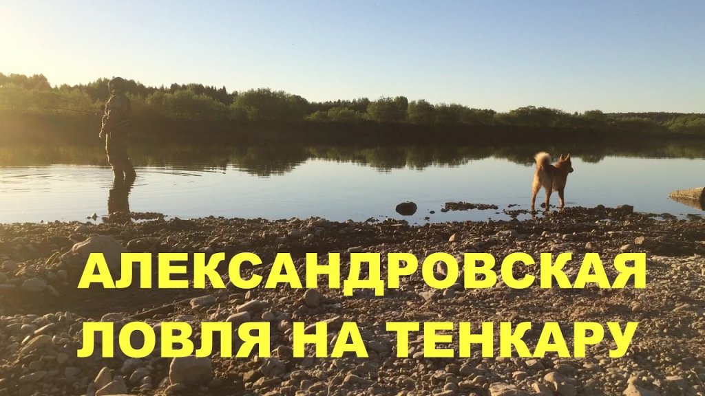 Ловля на тенкару в Алексадровской с берега Ловля на тенкару в Алексадровской с берега