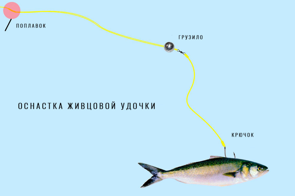 Оснастка спиннинга на щуку – от снасти до приманок