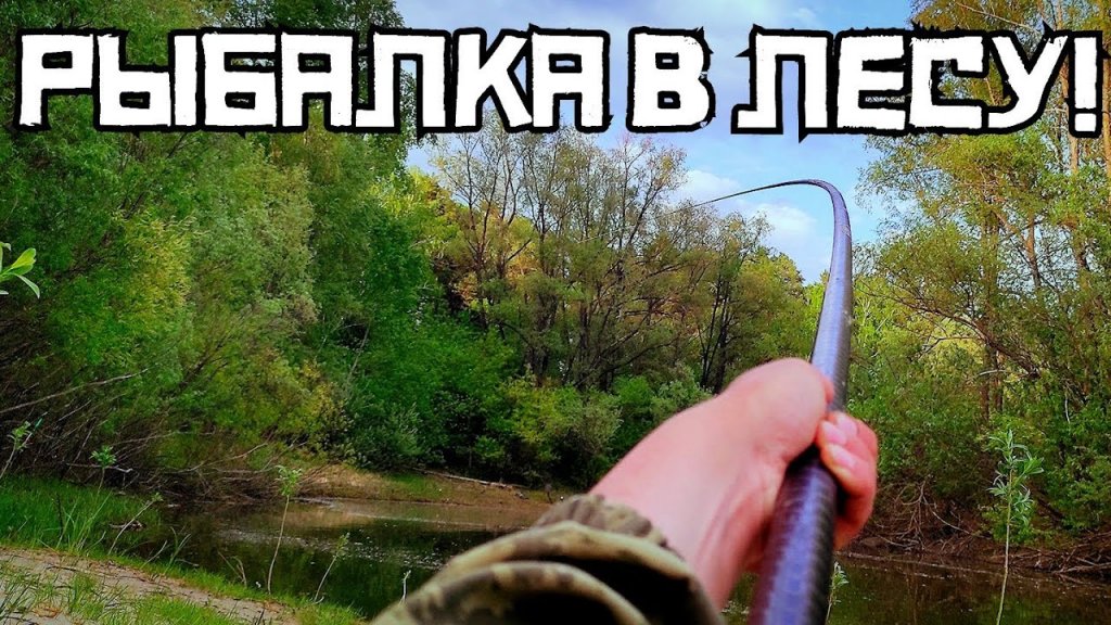 Рыбалка в затопленном лесу на Оби. с. Бибиха, НСО. Рыбалка в затопленном лесу на Оби. с. Бибиха, НСО.